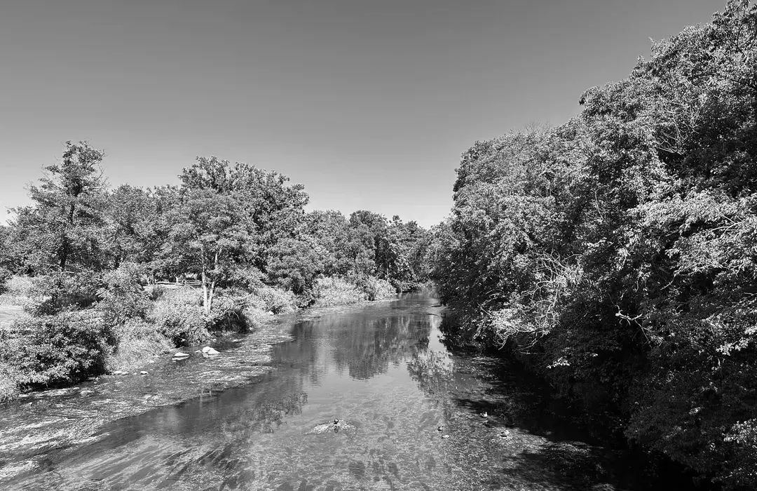 Best Hiking Trails in Naperville IL