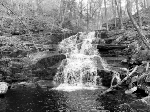 Best Hiking Trails in New Haven CT