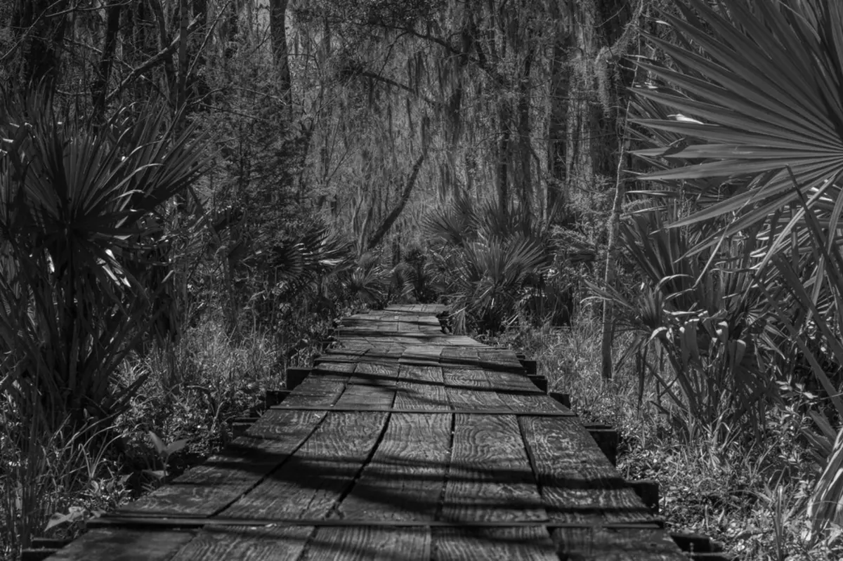 Best Hiking Trails in New Orleans LA
