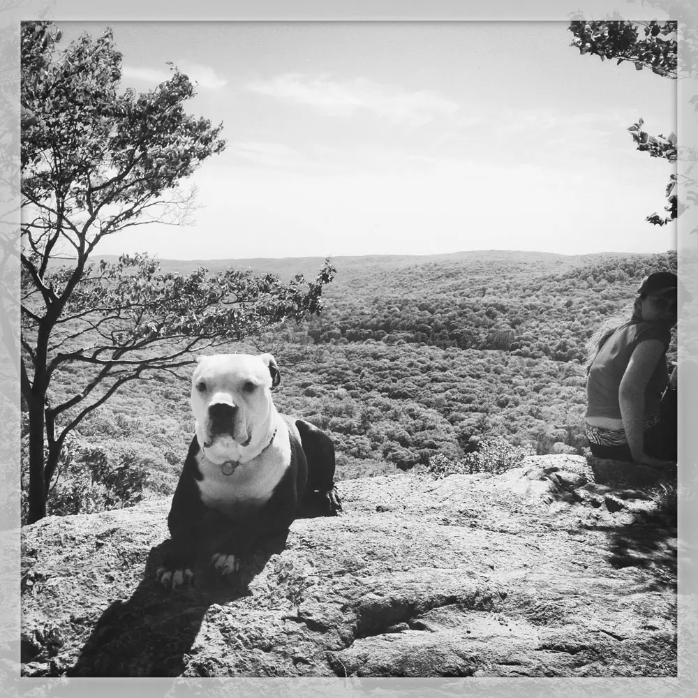 Best Hiking Trails in New York NY