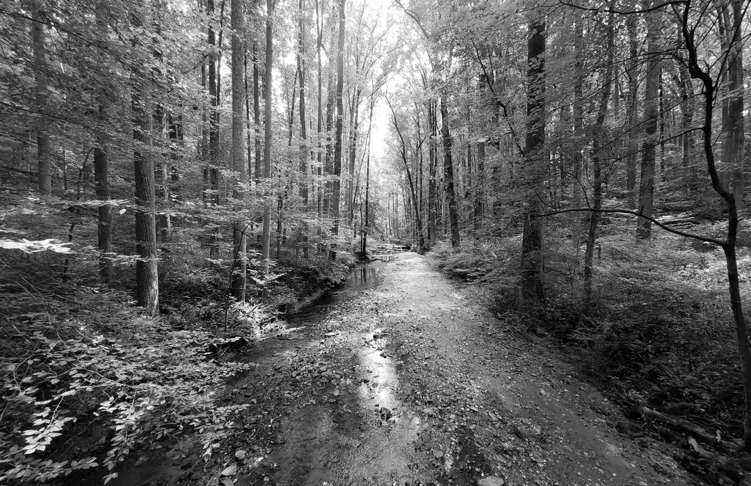Best Hiking Trails in Newark PA