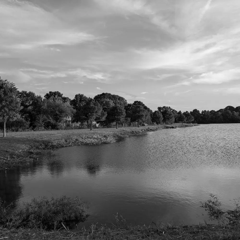 Best Hiking Trails in Norfolk VA