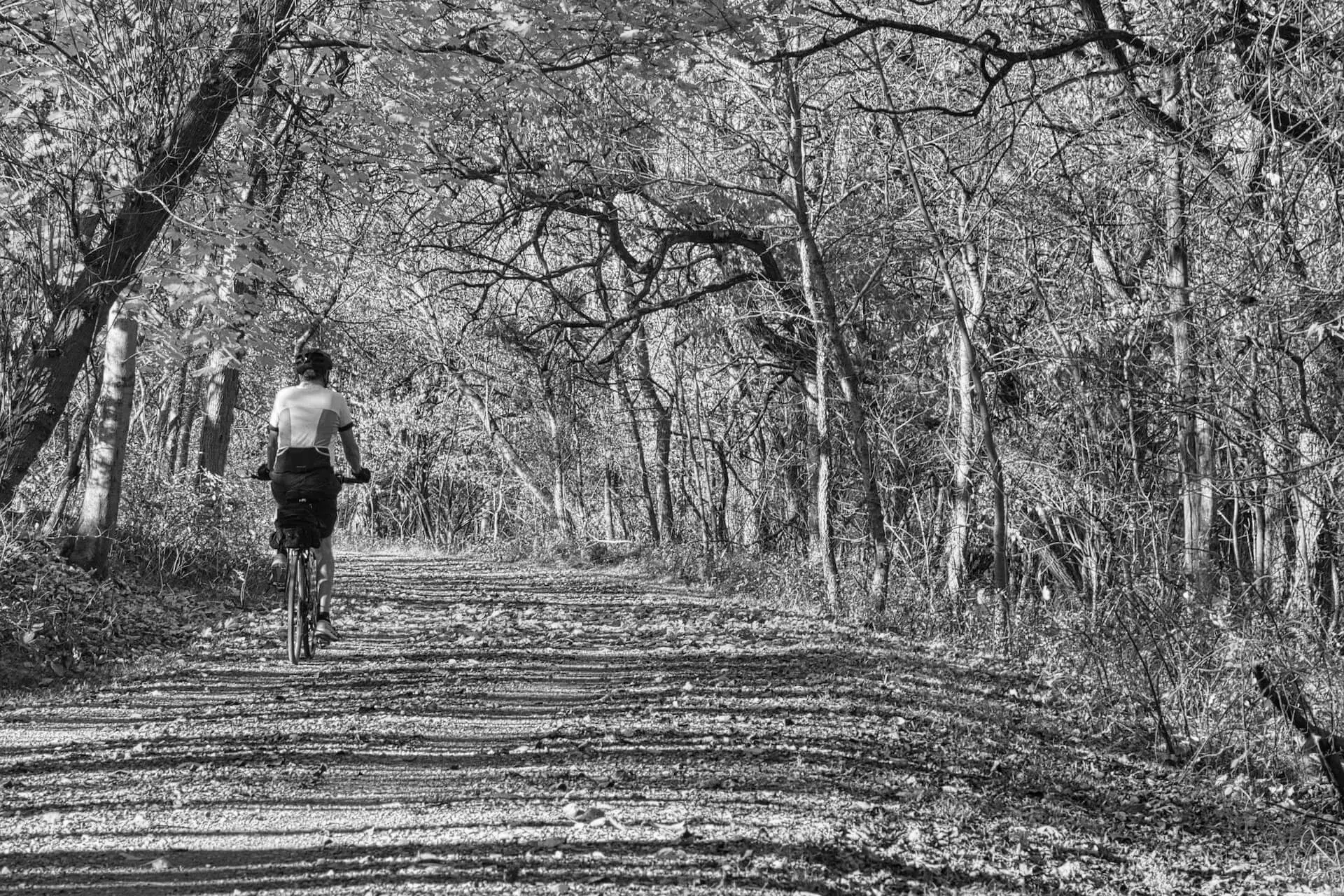 Best Hiking Trails in Norwalk NY