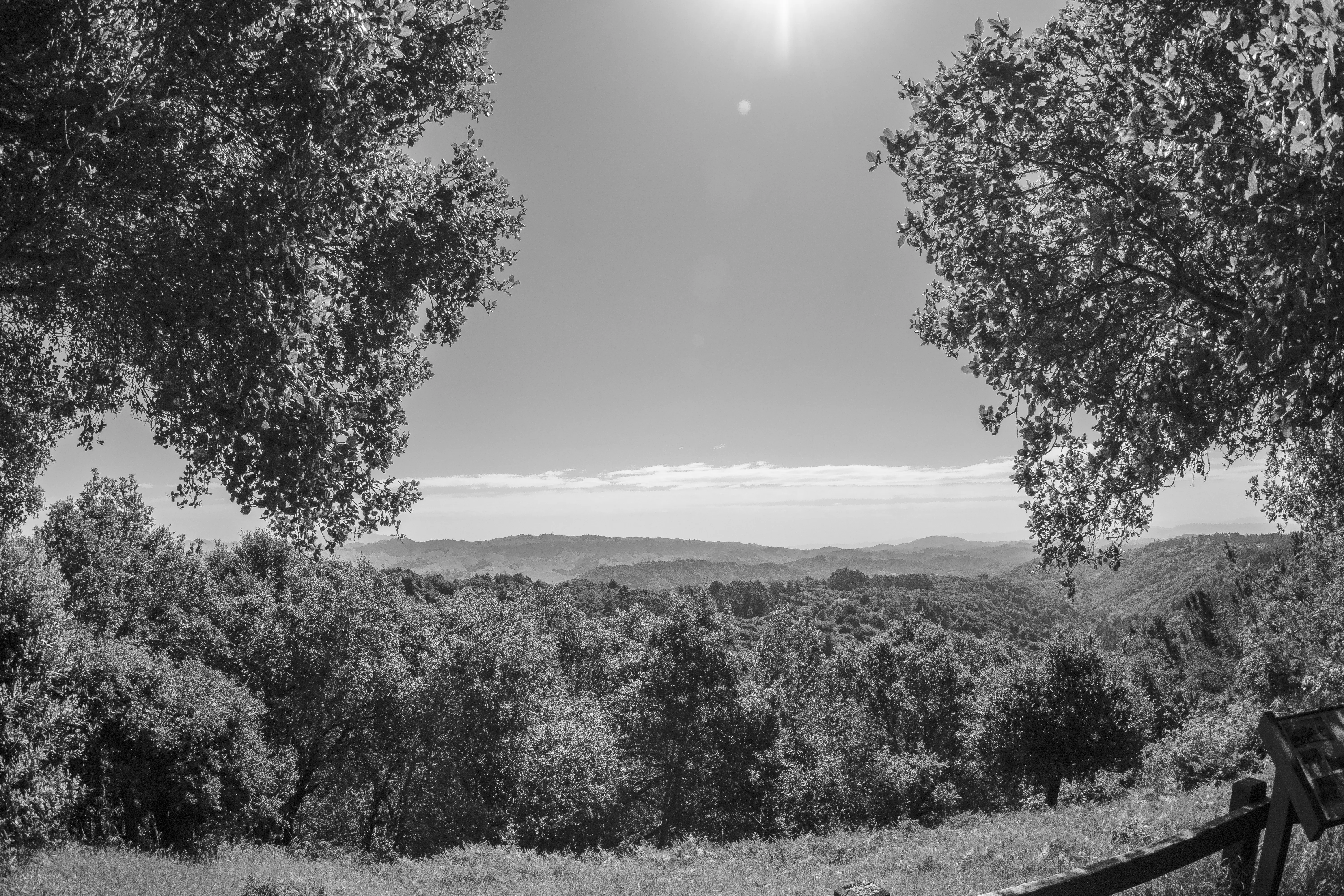 Best Hiking Trails in Oakland CA