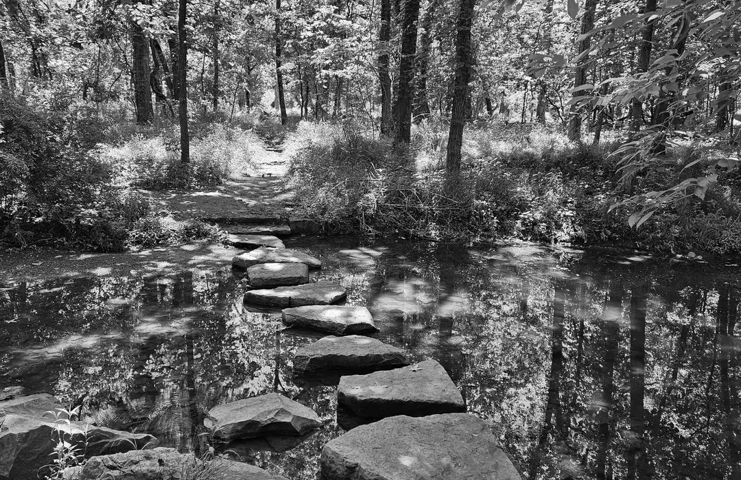 Best Hiking Trails in Olathe KS