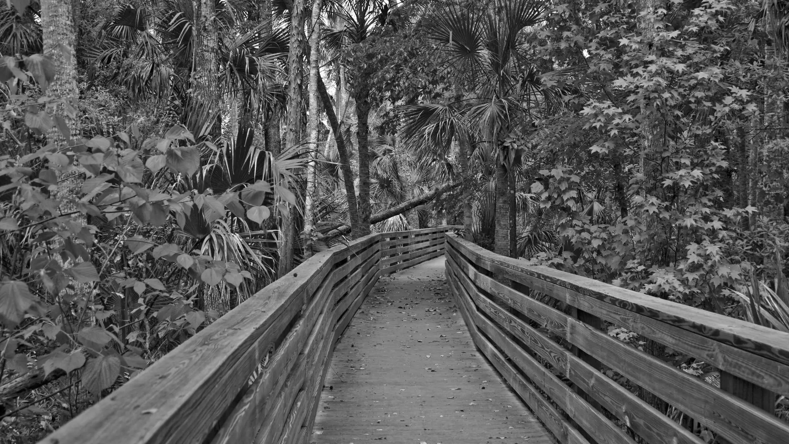 Best Hiking Trails in Orlando FL