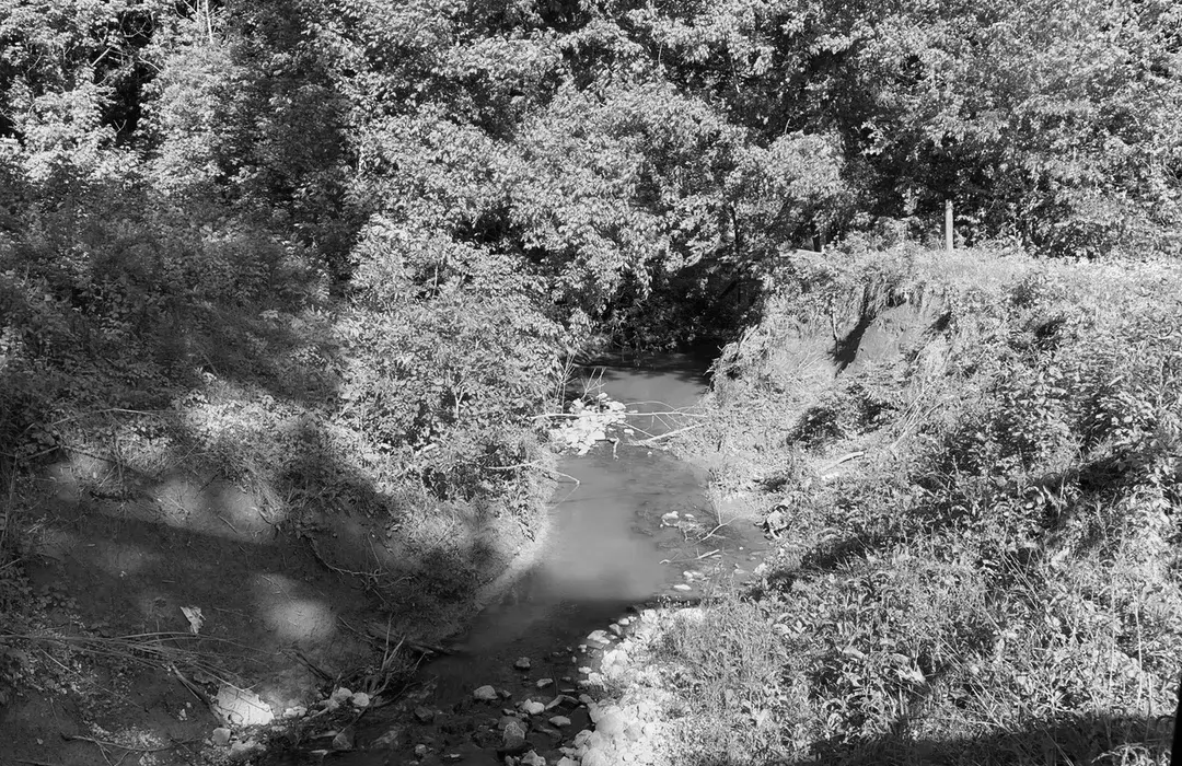 Best Hiking Trails in Owensboro IN