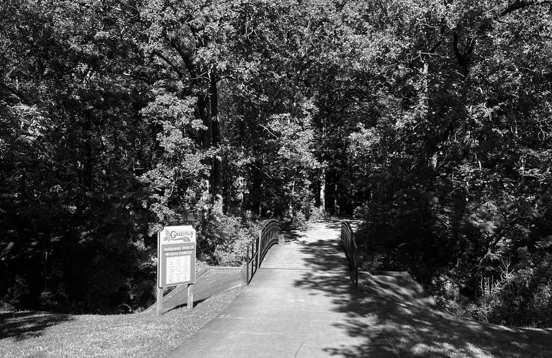 Best Hiking Trails in Paducah KY