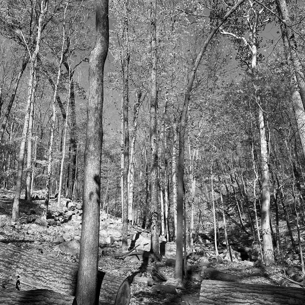 Best Hiking Trails in Passaic NJ