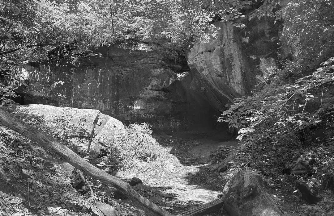 Best Hiking Trails in Peoria IL