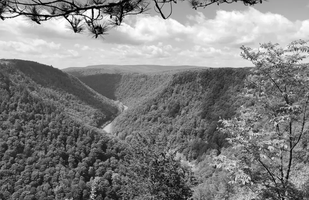 Best Hiking Trails in Pike Creek PA