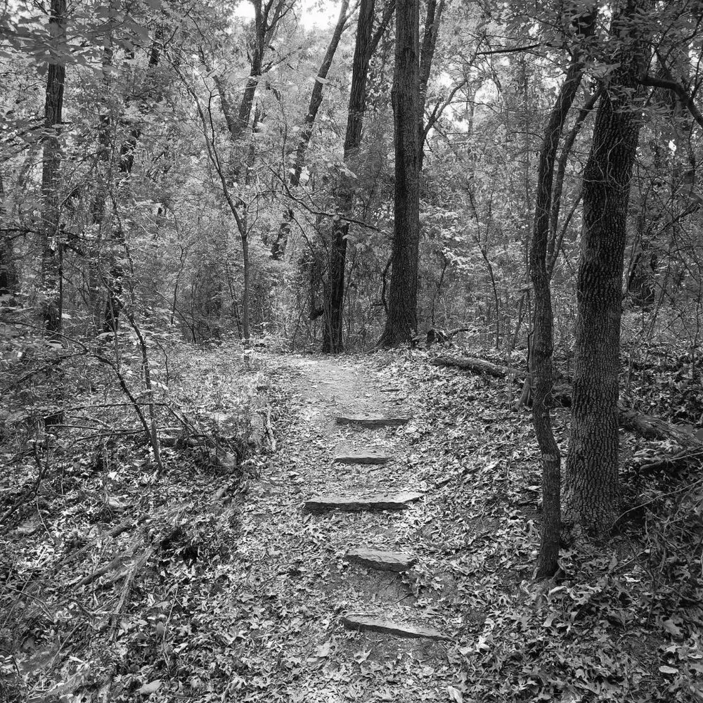 Best Hiking Trails in Plano TX