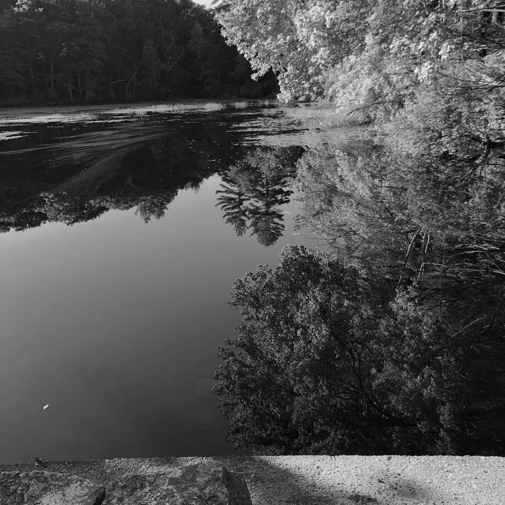 Best Hiking Trails in Plymouth MA