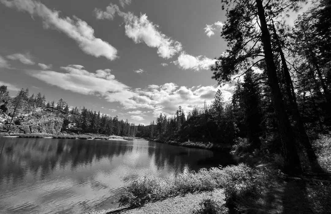 Best Hiking Trails in Post Falls WA