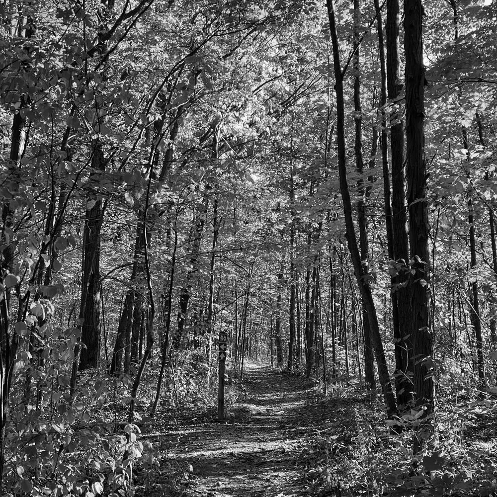 Best Hiking Trails in Racine WI