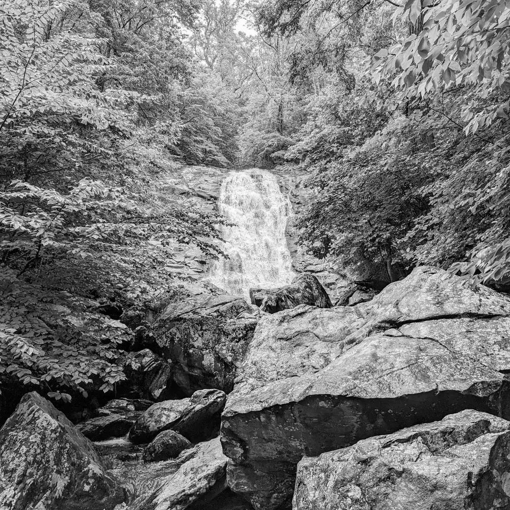 Best Hiking Trails in Richmond VA