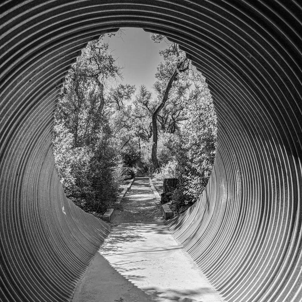 Best Hiking Trails in Rio Rancho NM