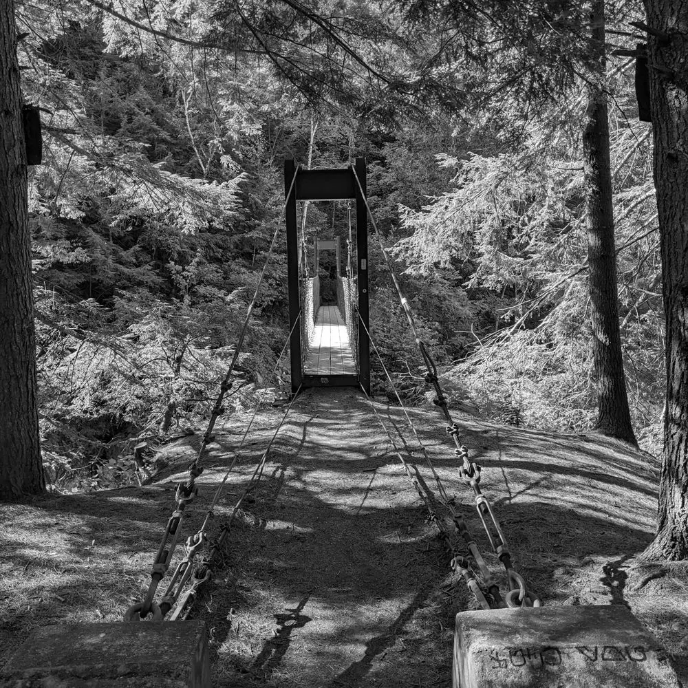 Best Hiking Trails in Rutland VT