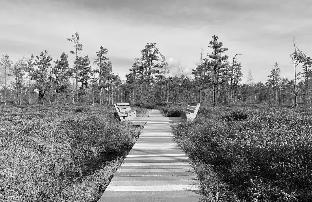 Best Hiking Trails in Saco ME