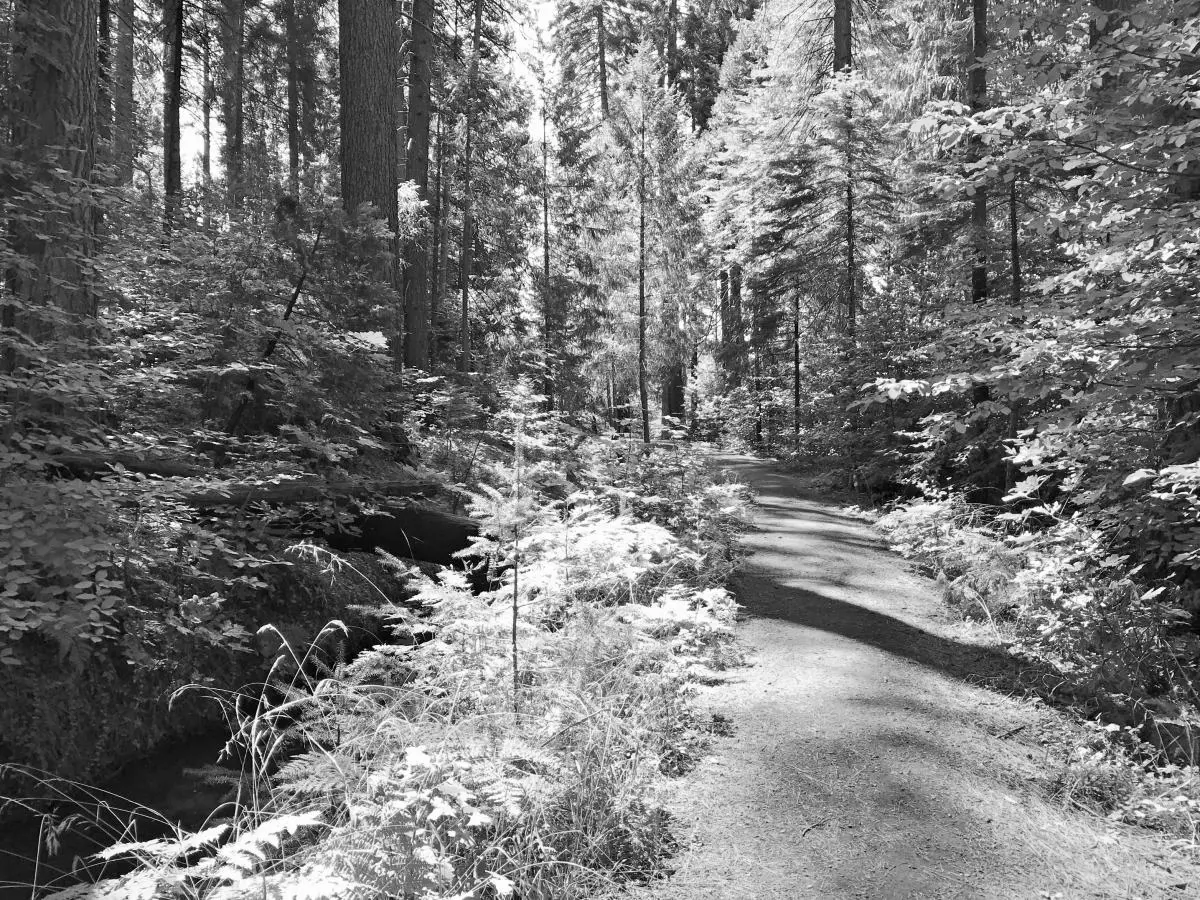 Best Hiking Trails in Sacramento CA