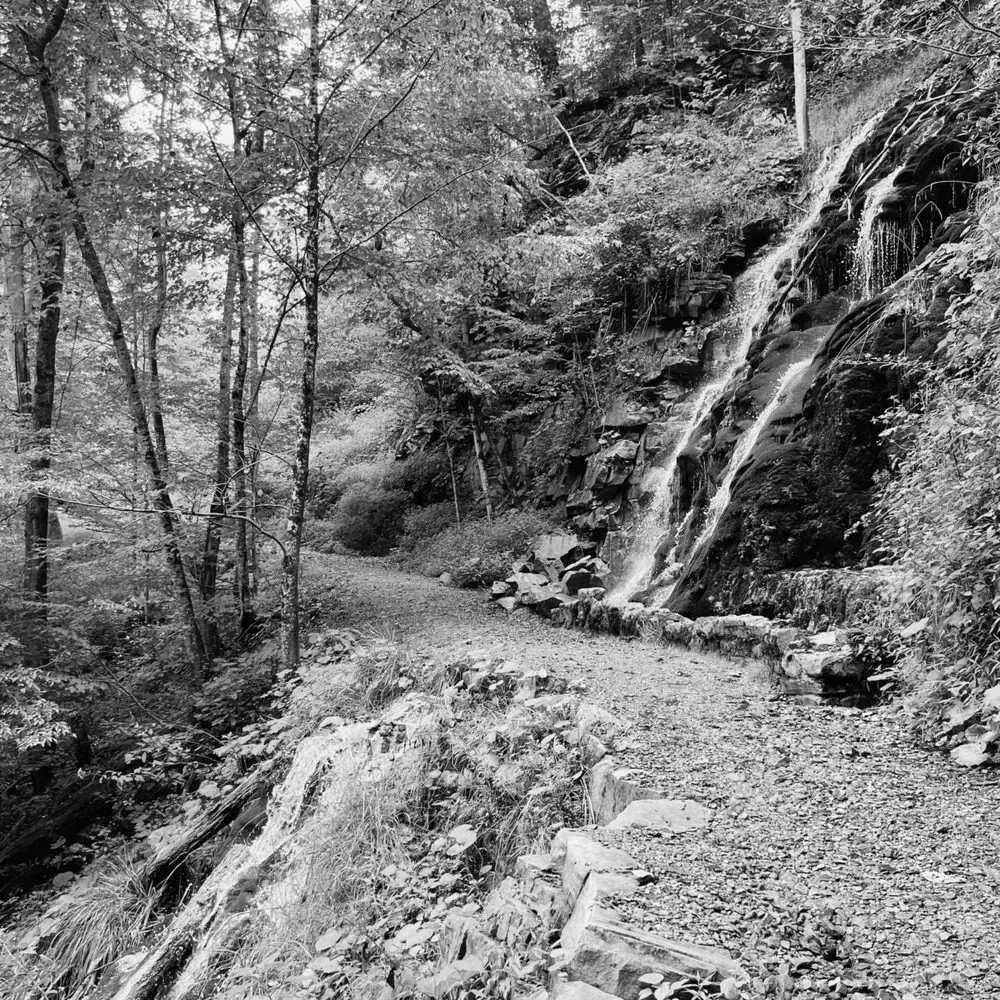 Best Hiking Trails in Saint Albans WV