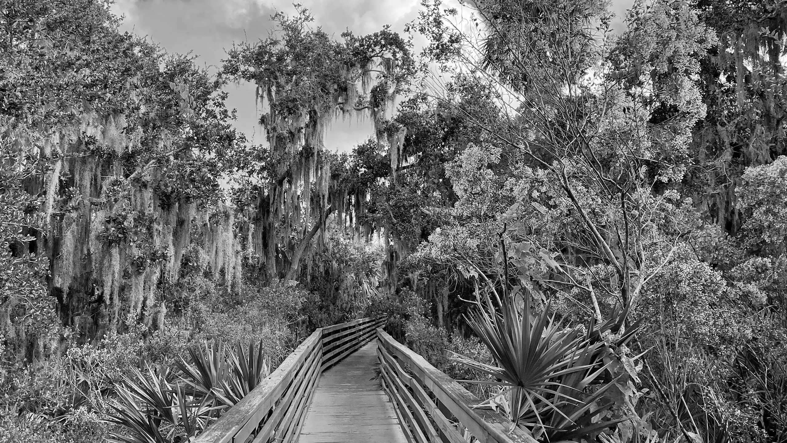 Best Hiking Trails in Saint Petersburg FL