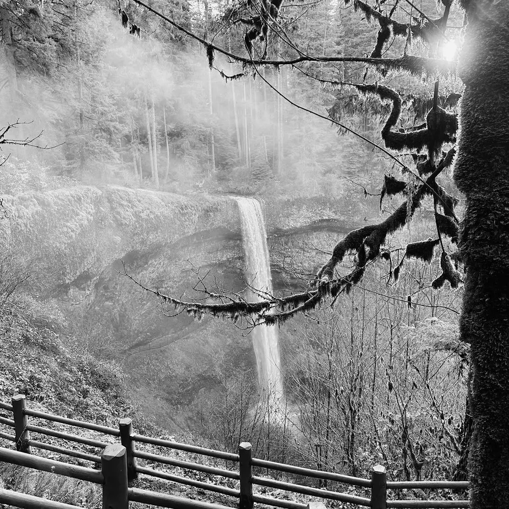 Best Hiking Trails in Salem OR