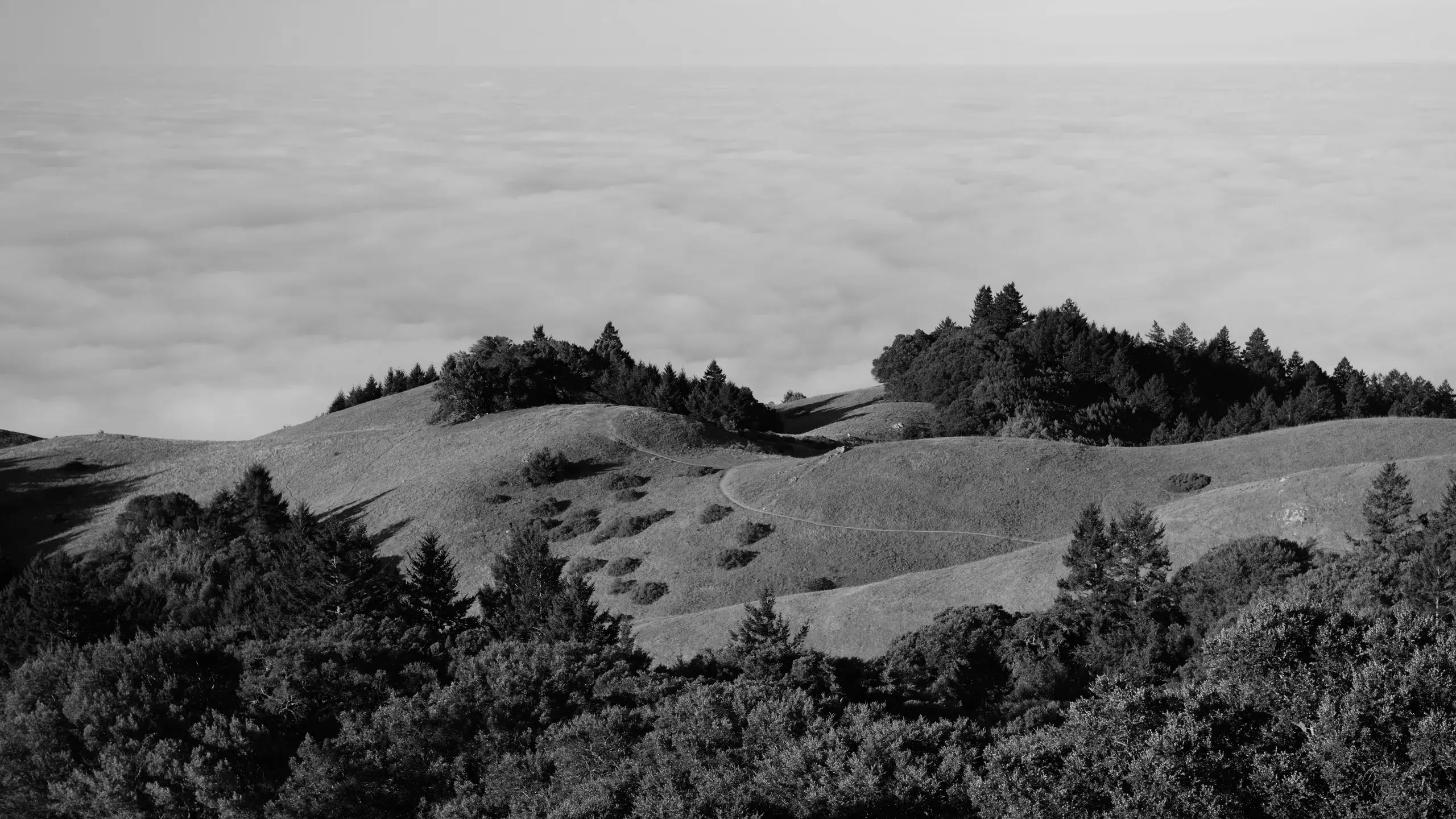 Best Hiking Trails in San Francisco CA