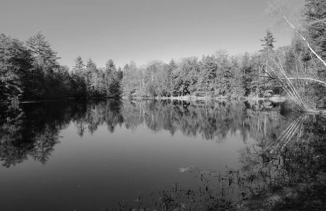 Best Hiking Trails in Sanford MA
