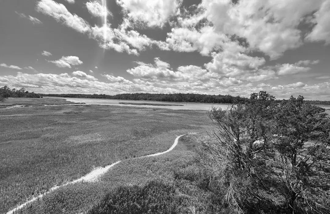 Best Hiking Trails in Savannah SC