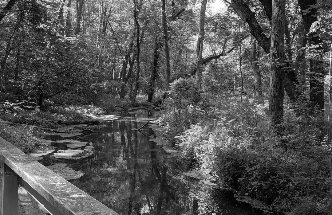 Best Hiking Trails in Seaford DE