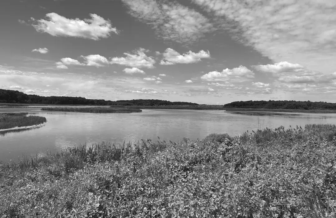Best Hiking Trails in Smyrna DE