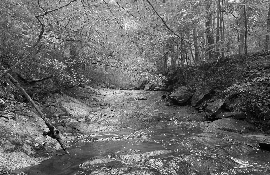 Best Hiking Trails in Smyrna GA