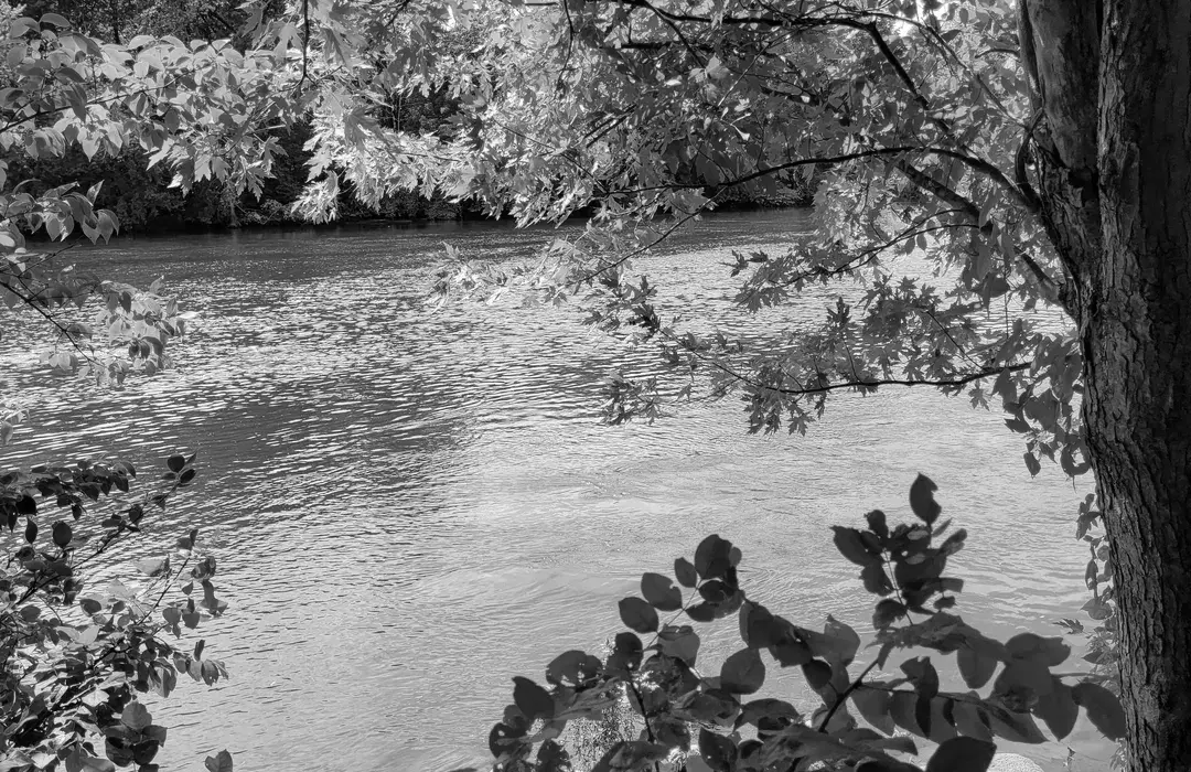 Best Hiking Trails in South Bend IN