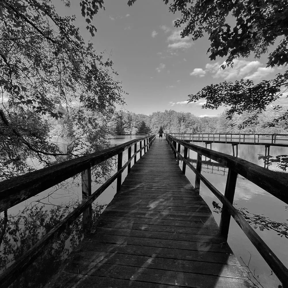 Best Hiking Trails in Southaven TN