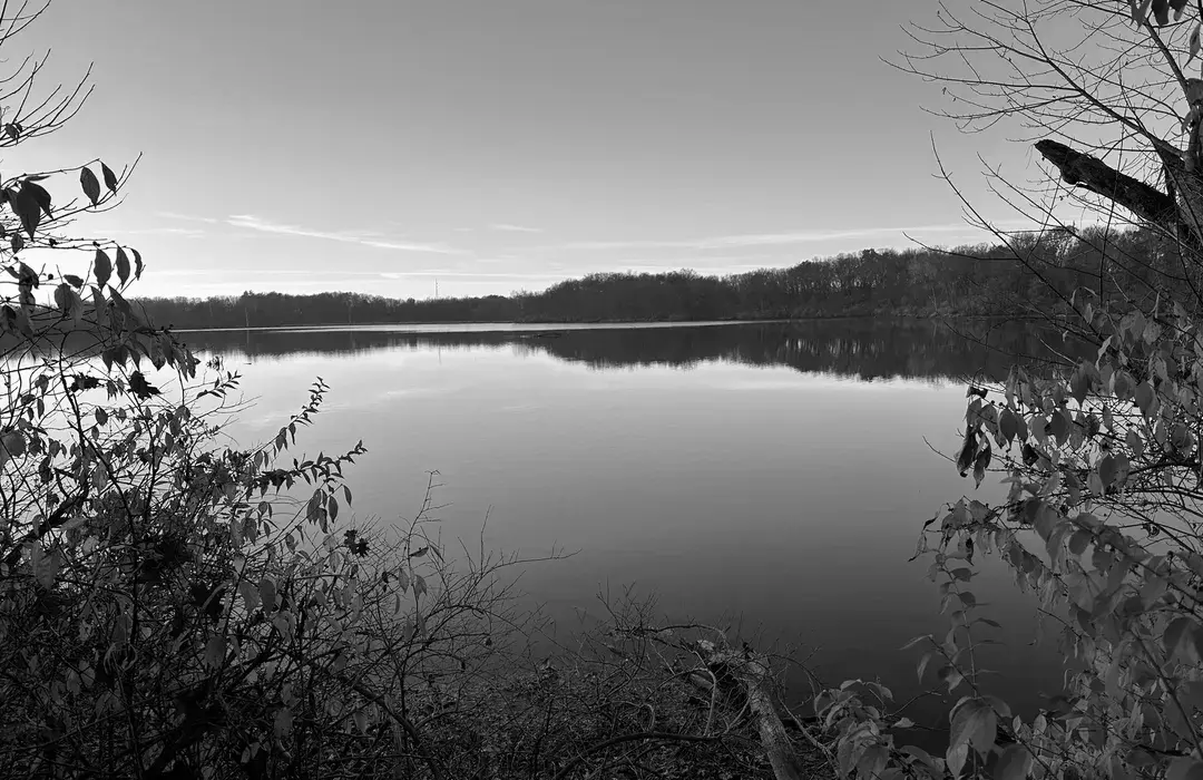 Best Hiking Trails in Springfield IL