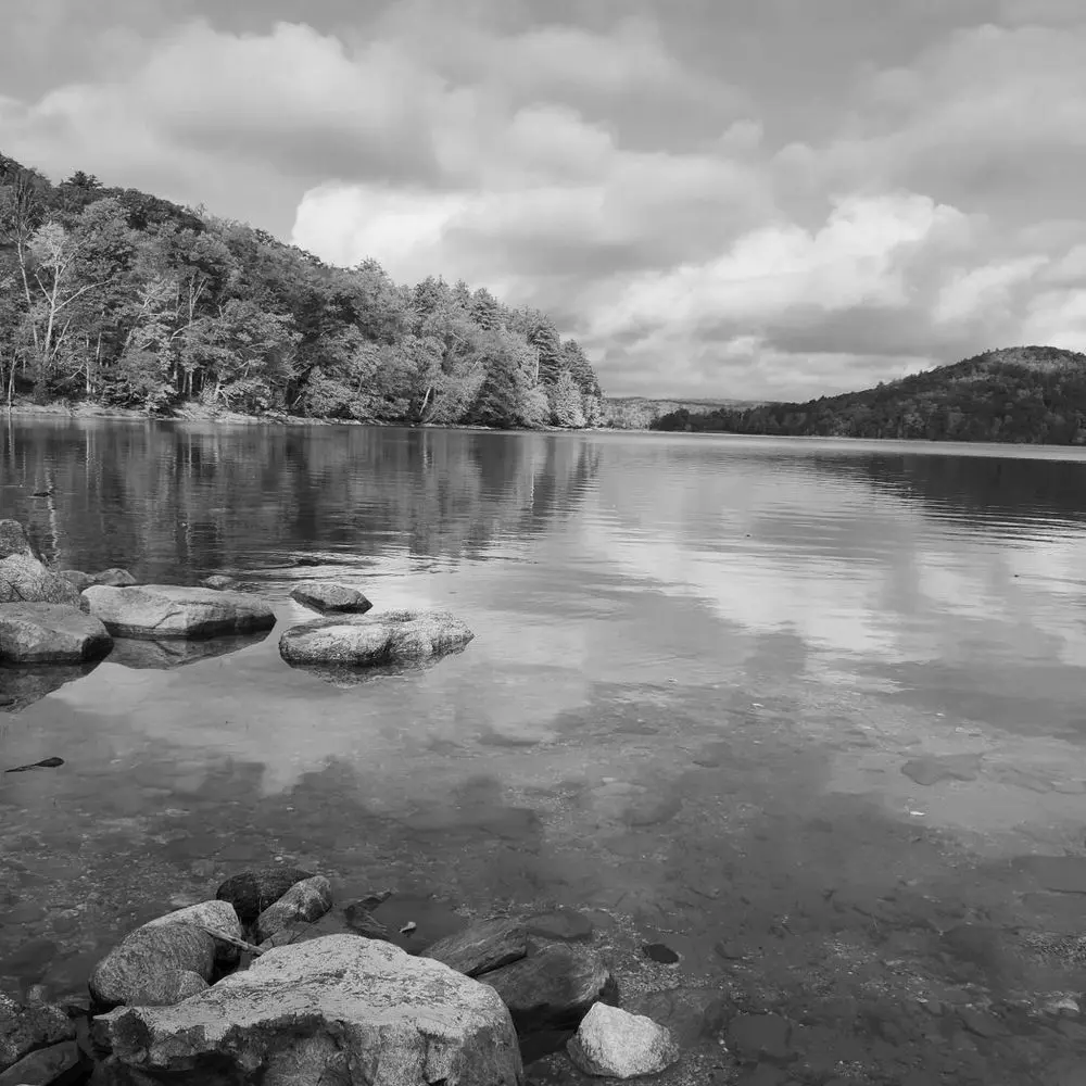 Best Hiking Trails in Springfield MA
