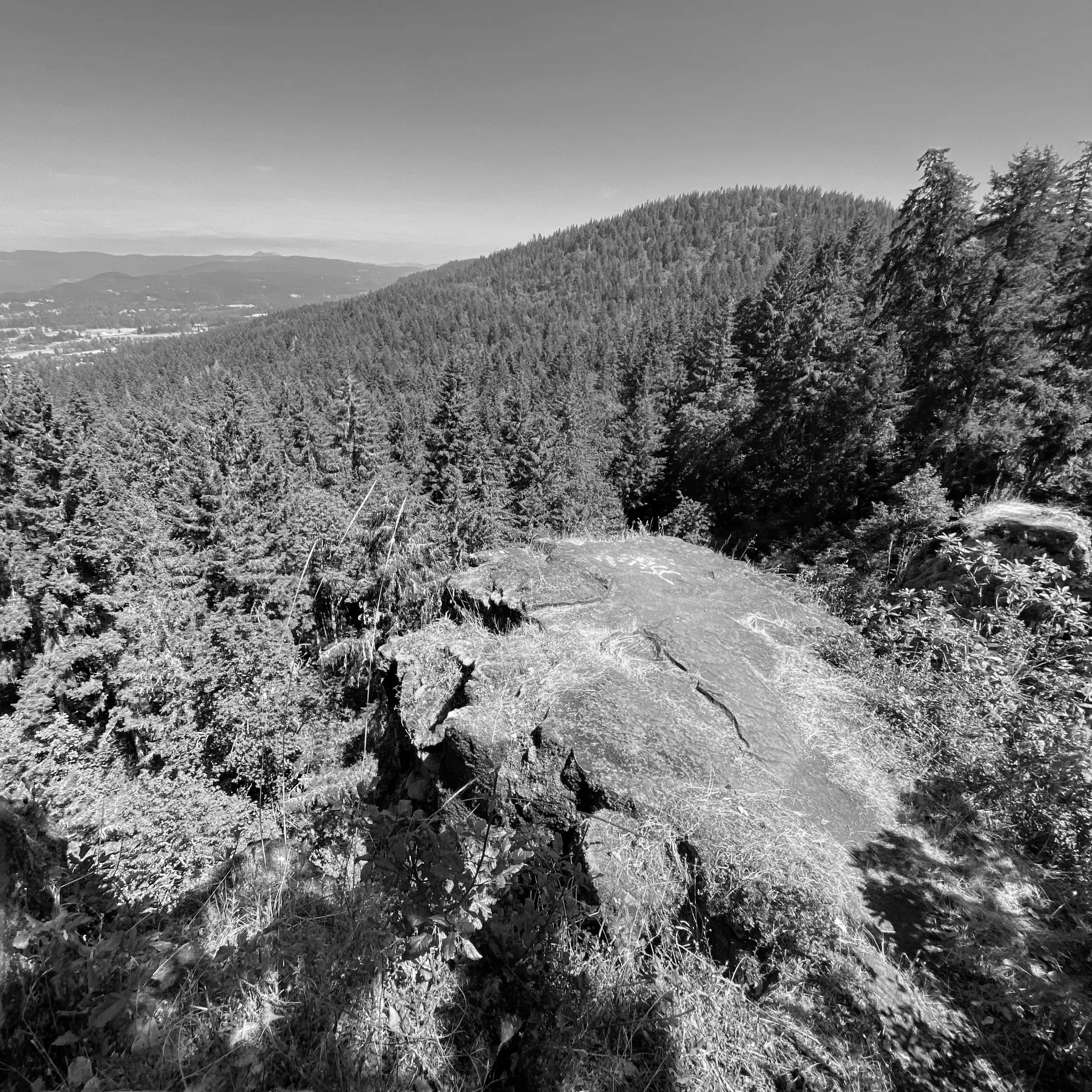 Best Hiking Trails in Springfield OR