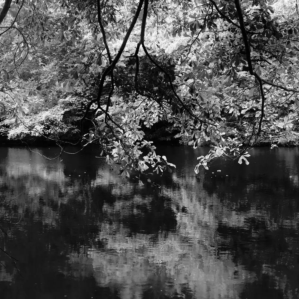 Best Hiking Trails in Suffolk VA
