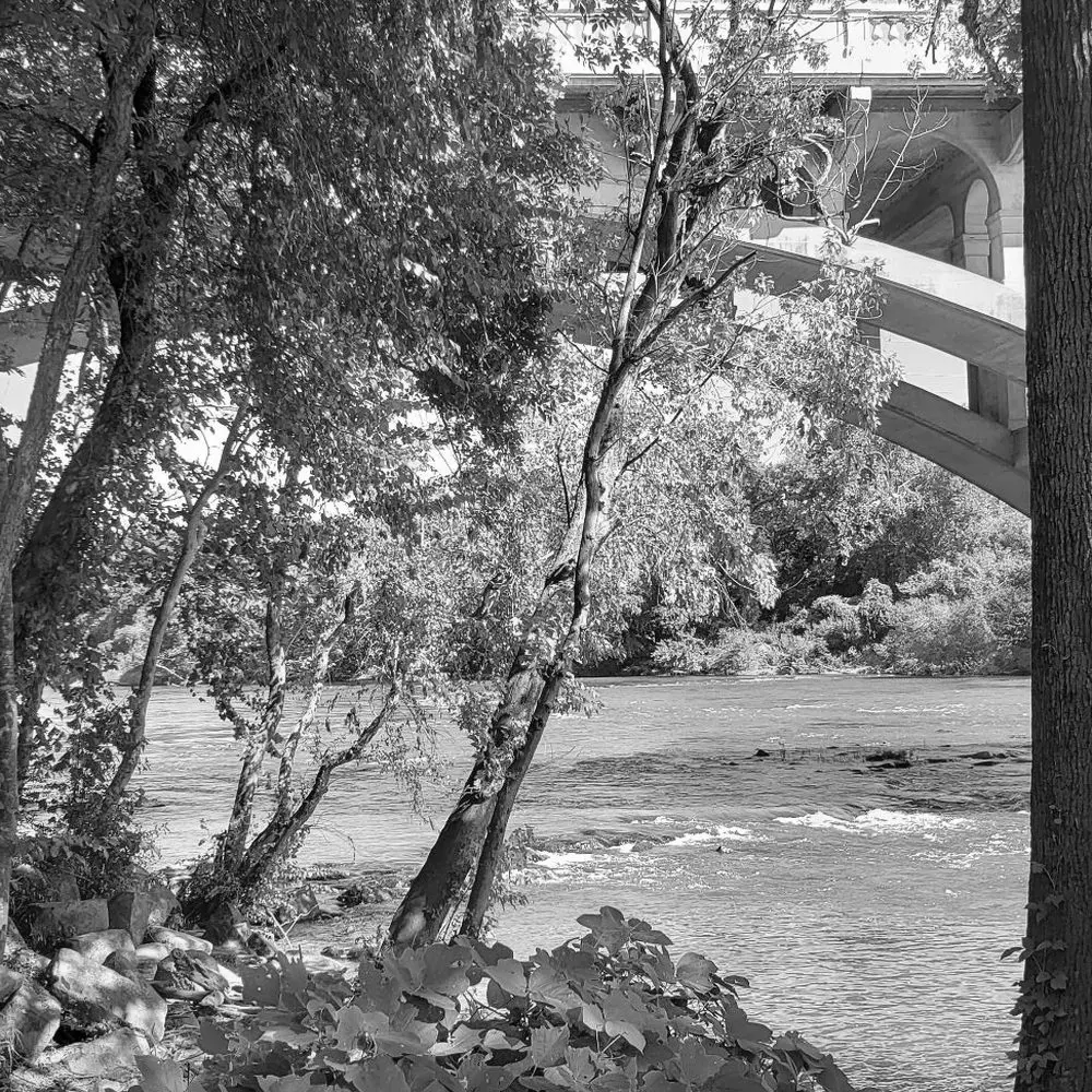 Best Hiking Trails in Sumter SC