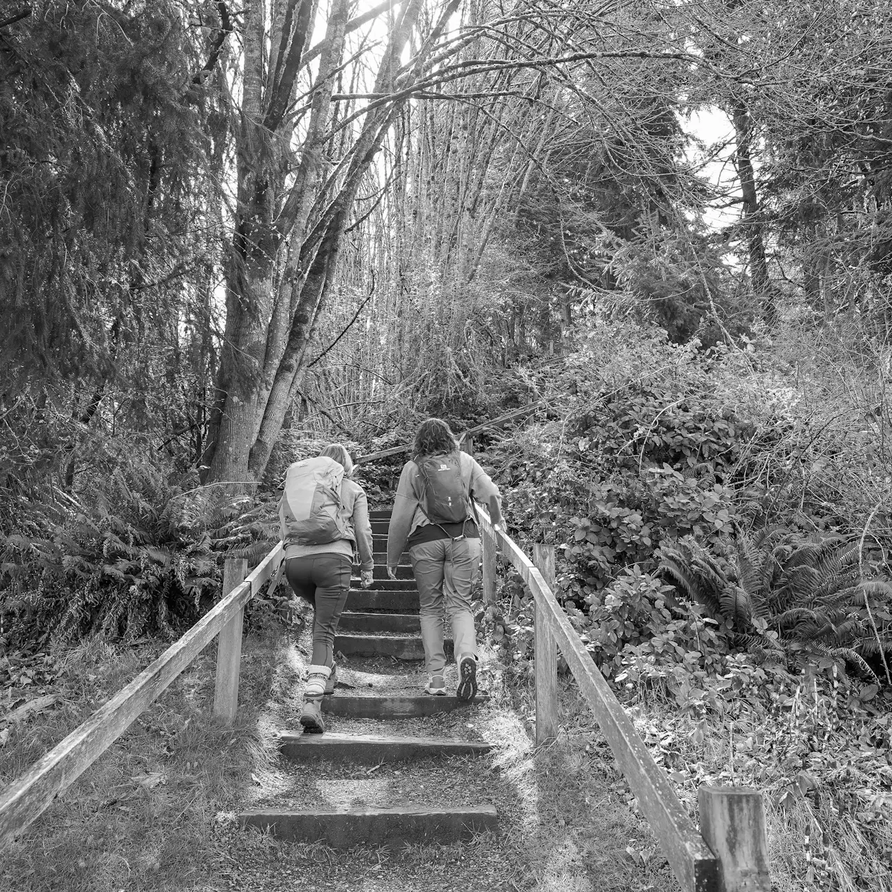 Best Hiking Trails in Tacoma WA