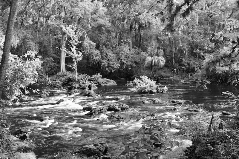 Best Hiking Trails in Tampa FL