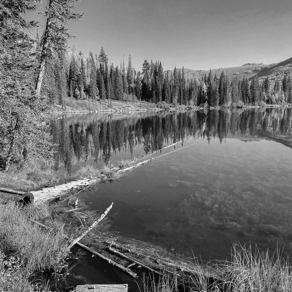 Best Hiking Trails in Taylorsville UT