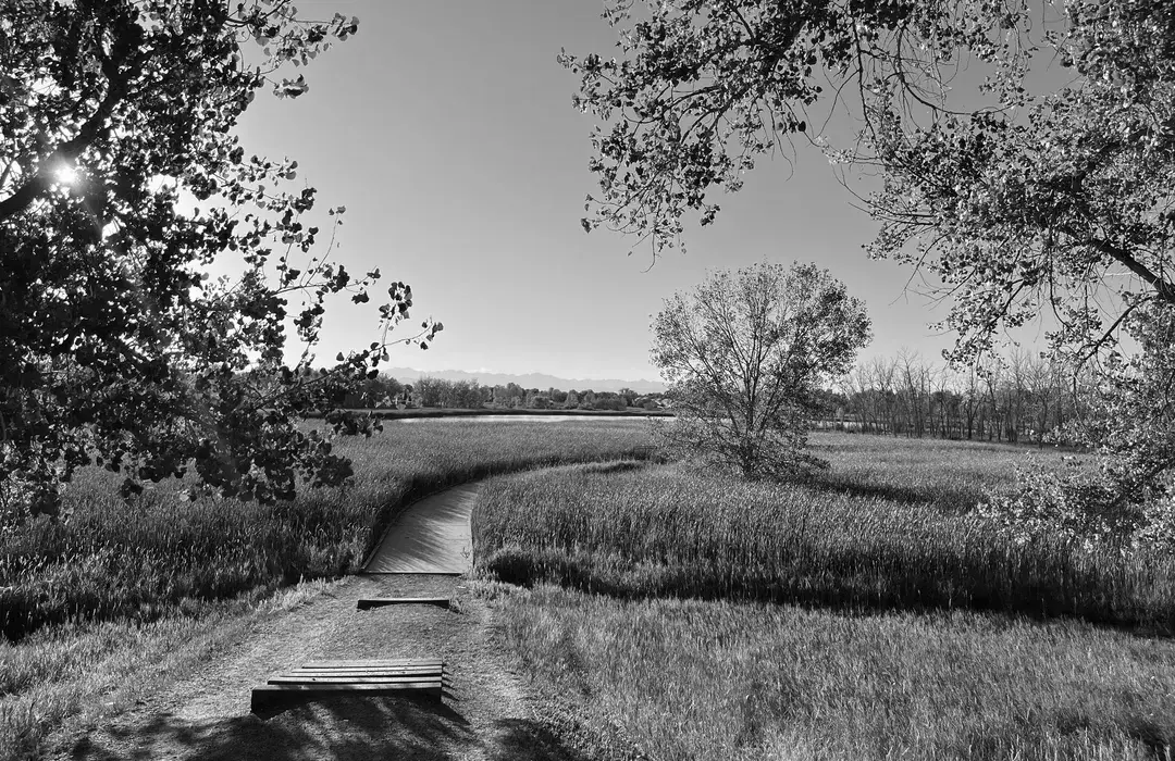 Best Hiking Trails in Thornton CO