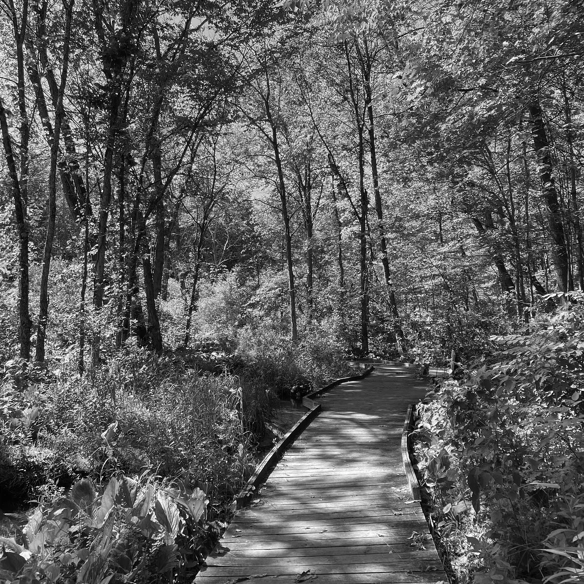 Best Hiking Trails in Toledo OH