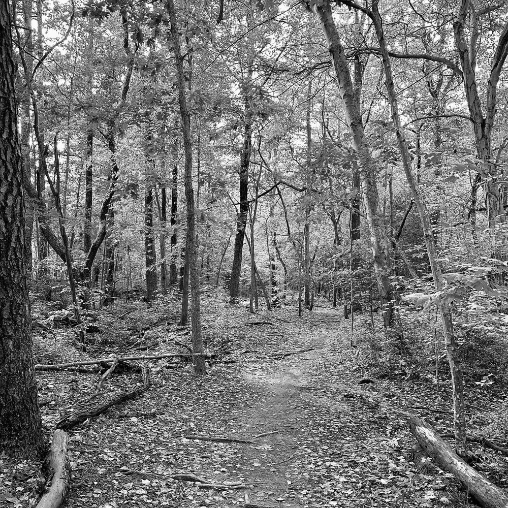 Best Hiking Trails in Toms River NJ