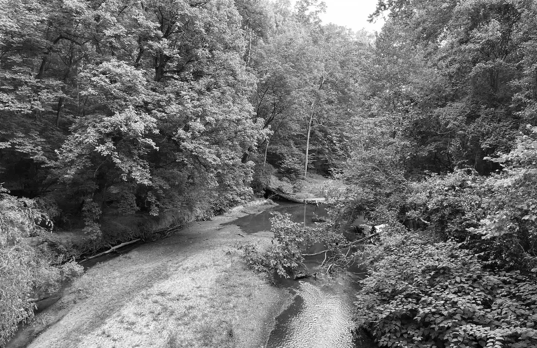 Best Hiking Trails in Towson MD