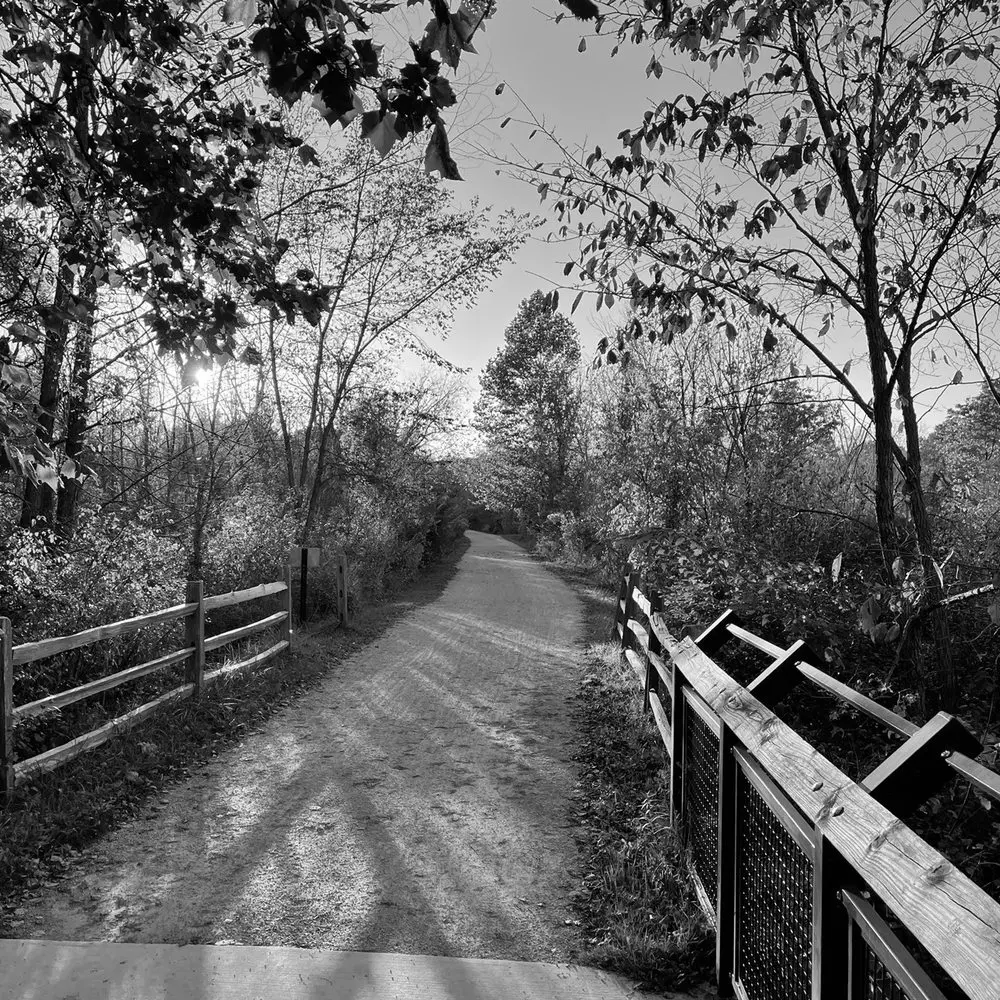 Best Hiking Trails in Troy MI