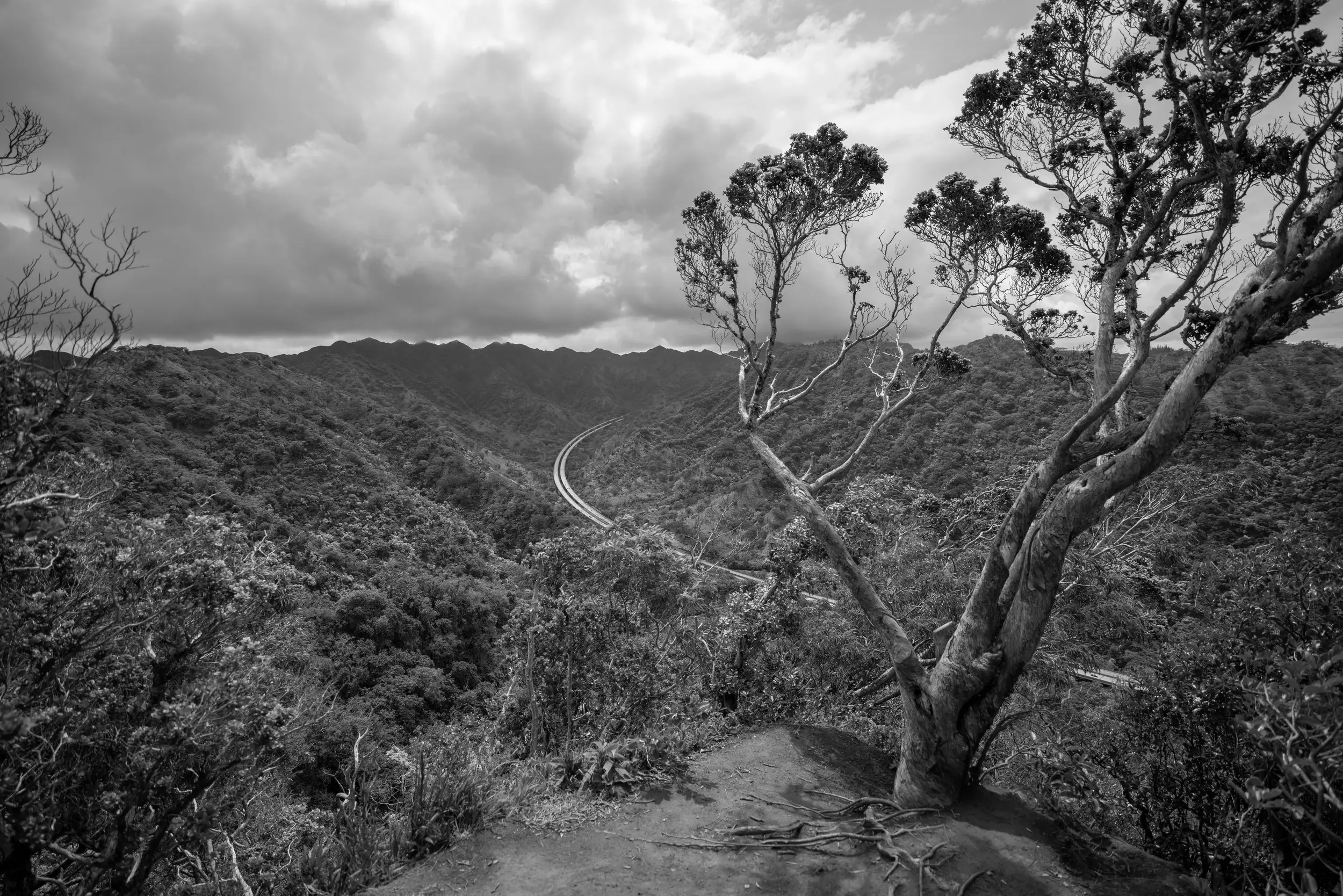 Best Hiking Trails in Waimalu HI