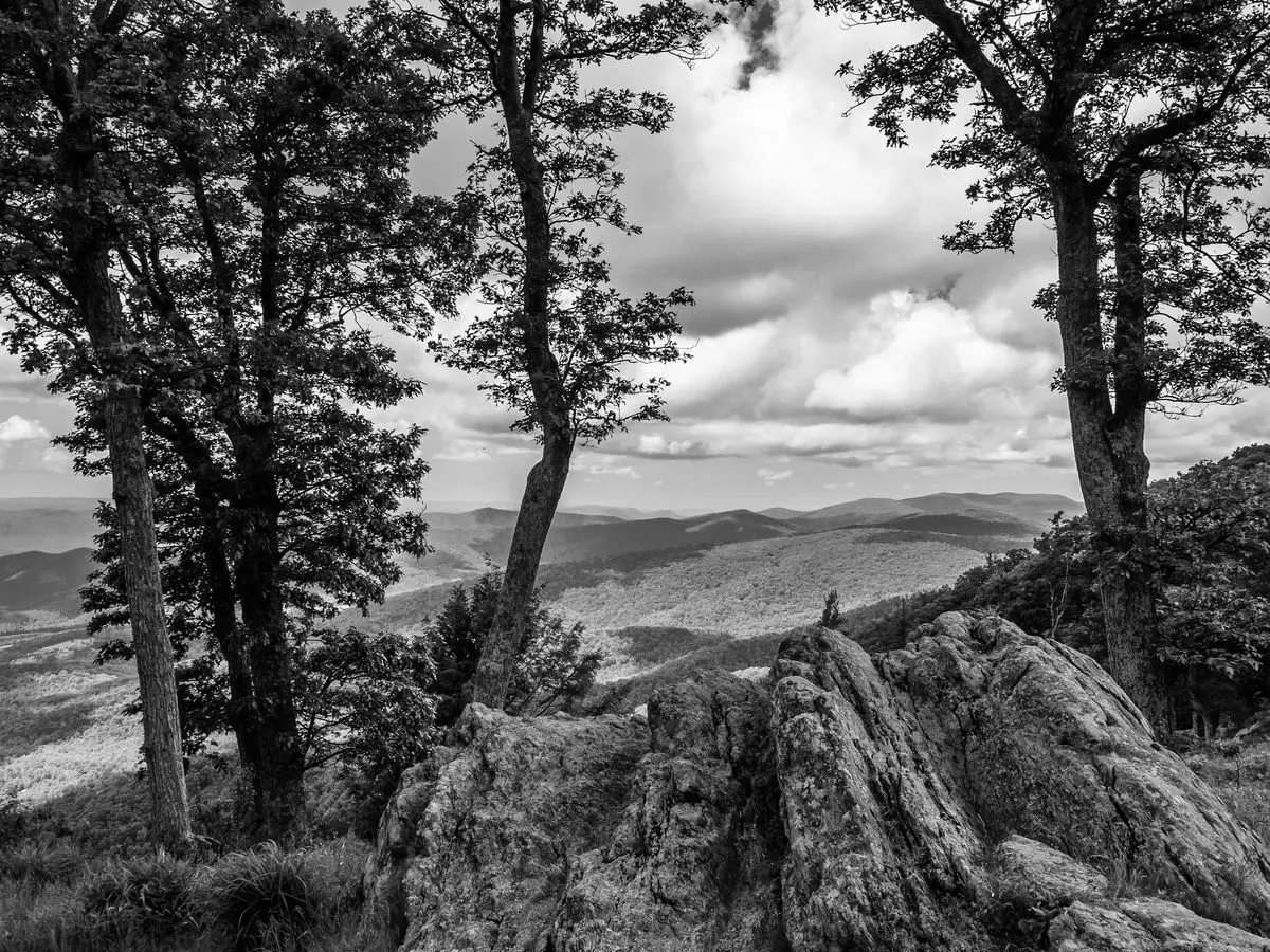 Best Hiking Trails in Washington MD